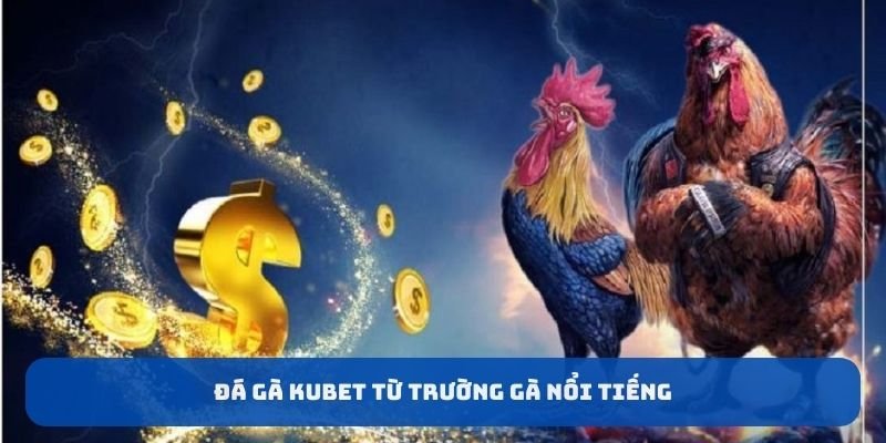 Đá gà KUBET từ trường gà nổi tiếng