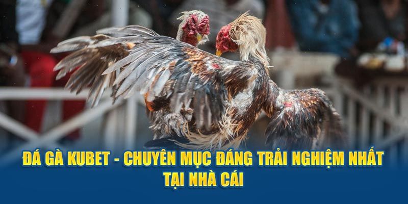 Các tựa game đá gà nổi bật nhất tại sân chơi