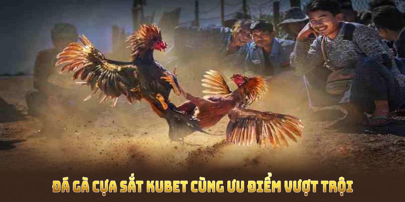 Trải nghiệm đá gà cựa sắt Kubet cùng ưu điểm vượt trội tại Kubet