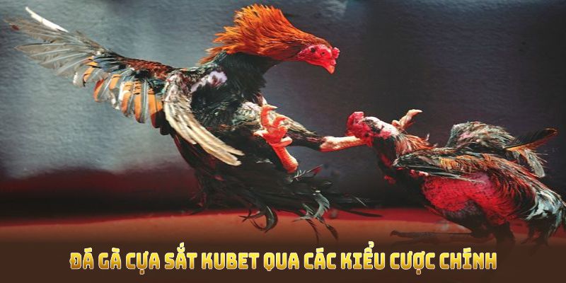 Trải nghiệm đá gà cựa sắt Kubet qua các kiểu cược chính, hấp dẫn