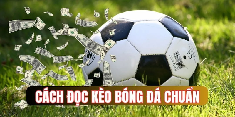 Người chơi có thể soi kèo bóng đá với nhiều hình thức khác nhau